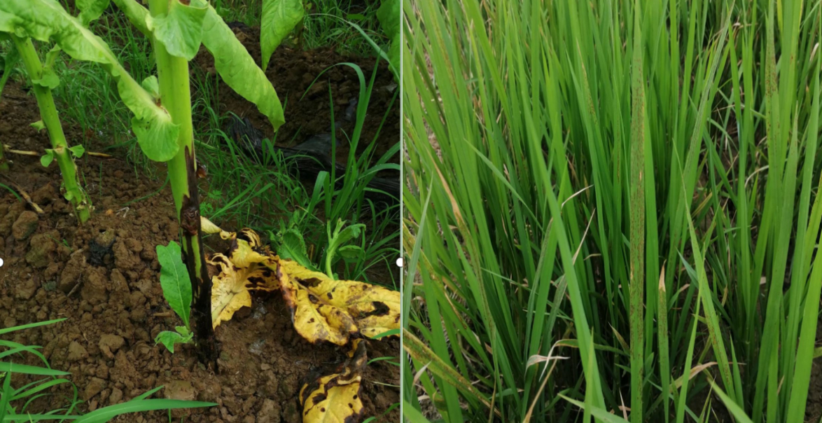 凯发·k8(中国游)官方网站