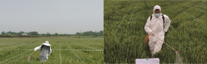 凯发·k8(中国游)官方网站