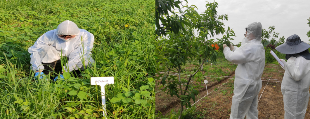 凯发·k8(中国游)官方网站