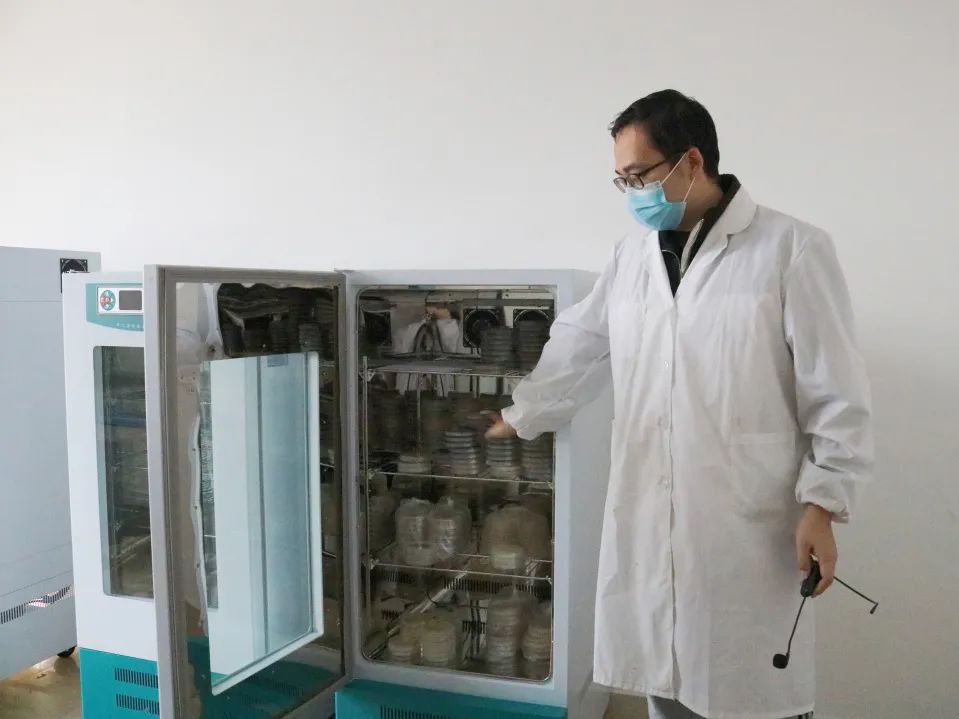 凯发·k8(中国游)官方网站