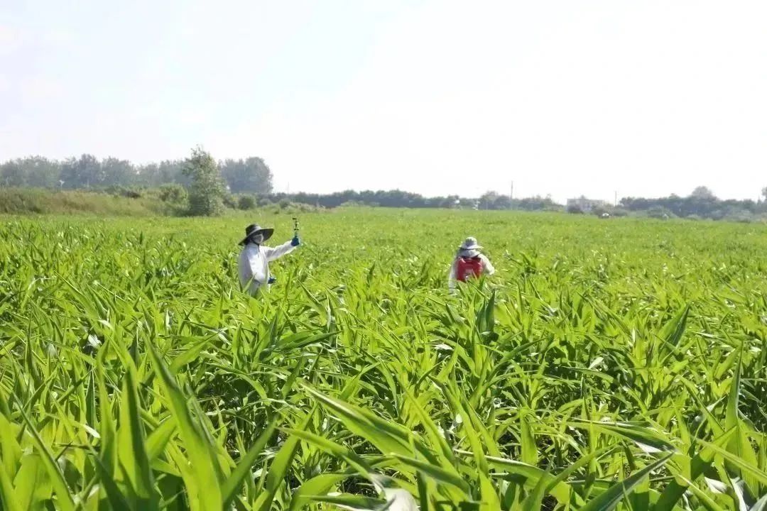 凯发·k8(中国游)官方网站