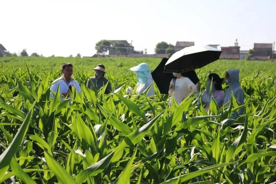 凯发·k8(中国游)官方网站