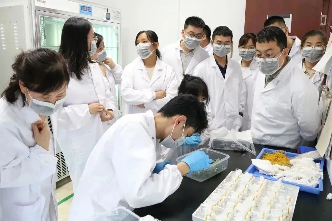 凯发·k8(中国游)官方网站