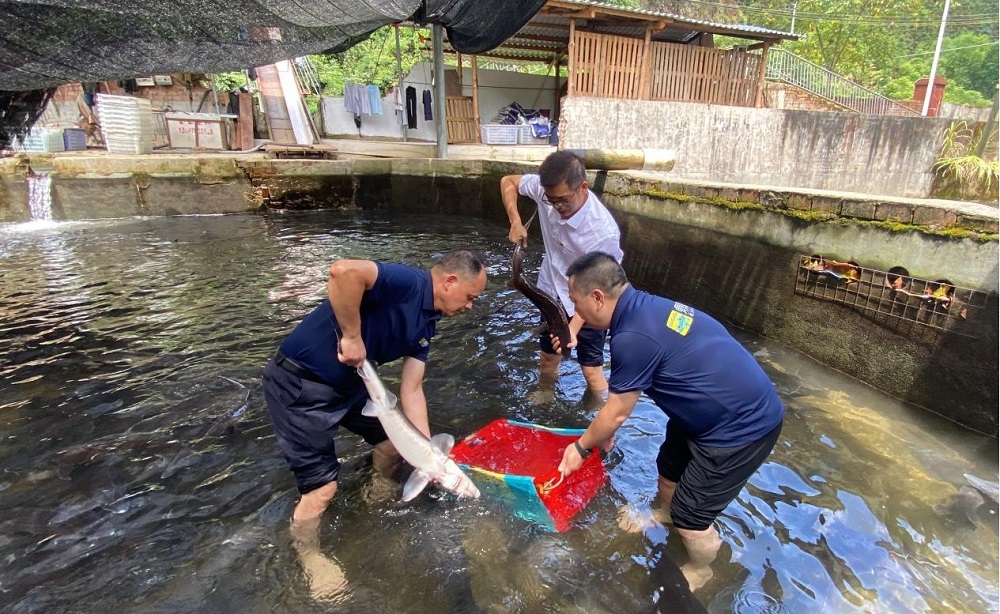 首页| CA88集团中国唯一官方网站